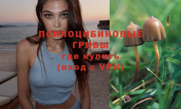 герыч Каменск-Шахтинский